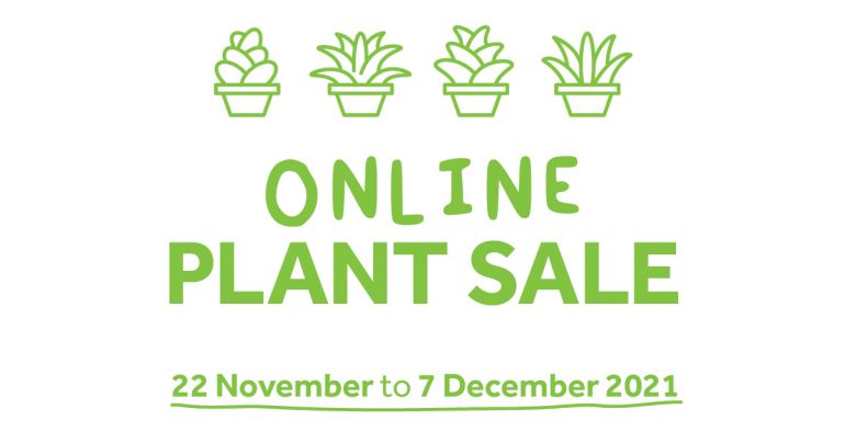 plant-sale