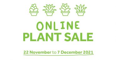 CIT Plant Sale is now on