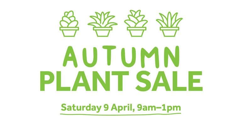 CIT-Autumn-plant-sale