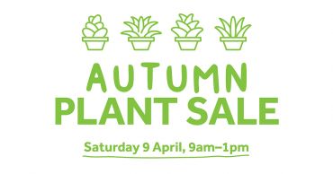 CIT Autumn Plant Sale 2022