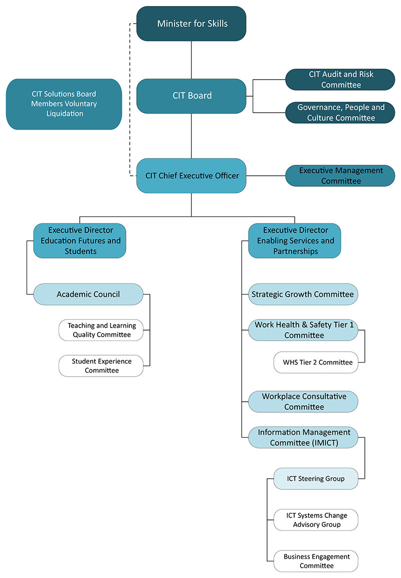 CIT Operational Governance Framework diagram
