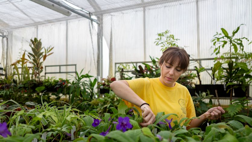 Woman gardening with plants