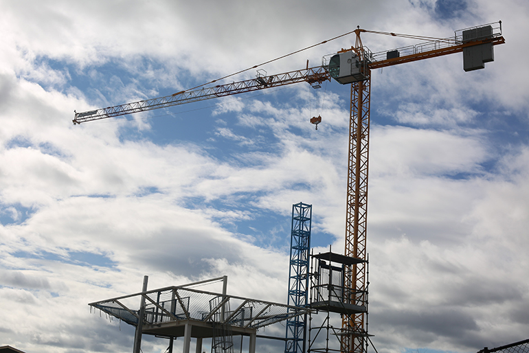 Crane_2.jpg