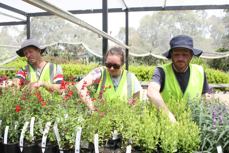 CIT_Plant_Sale_4.jpg