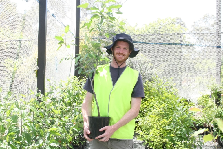 CIT_Plant_Sale_5.jpg