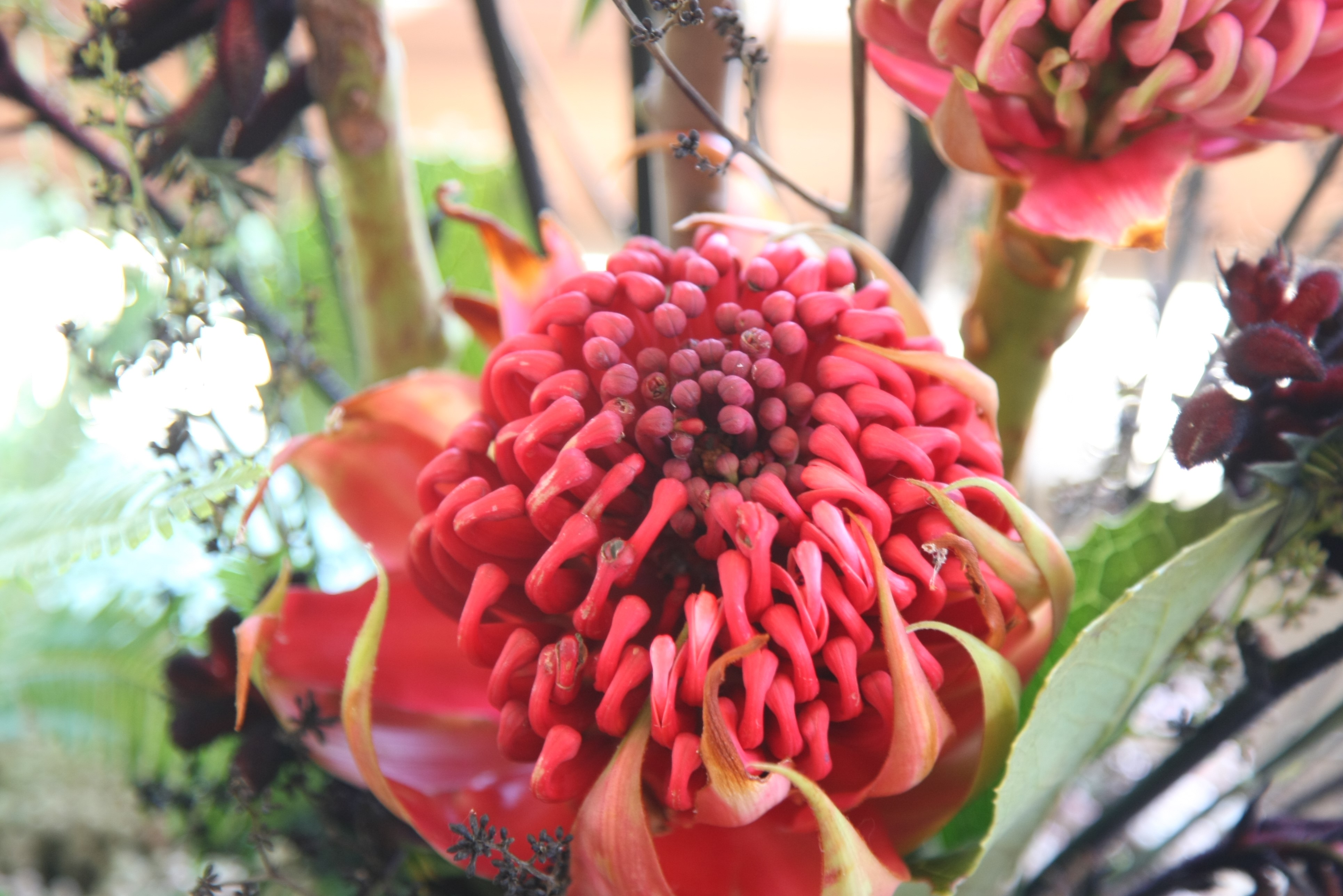Wildflowers_event_2.jpg